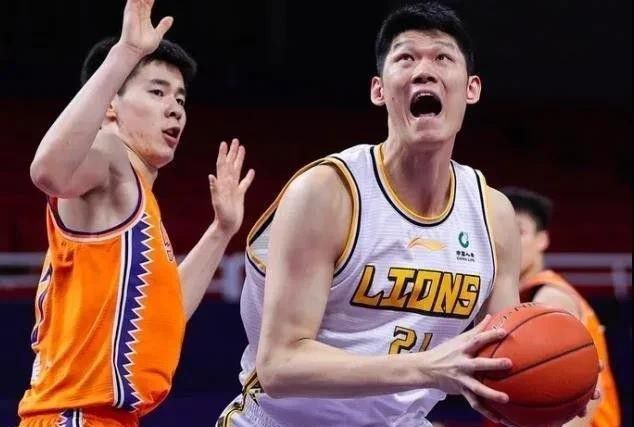 精品一区二区久久久久久久网站