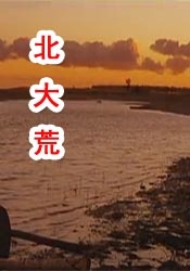 国产一区二区黄