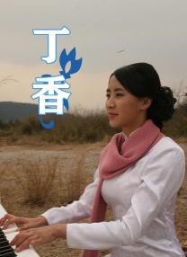 不卡电影免费在线播放一区