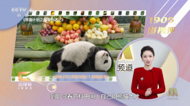 av在哪看